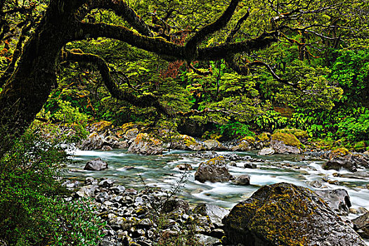 山川,峡湾国家公园,南部地区,南岛,新西兰