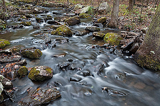 溪流,流动,树林,春天,阿肯色州,美国