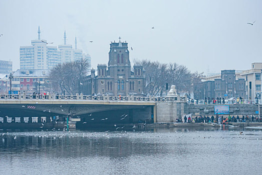 中国天津海河冬季雪景望海楼海鸥