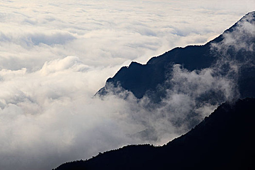 山,云海,雾