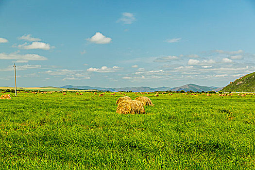 草原