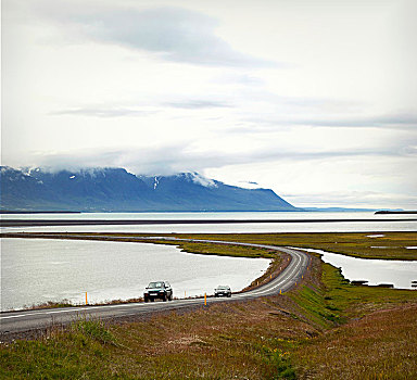 道路,水,冰岛,风景