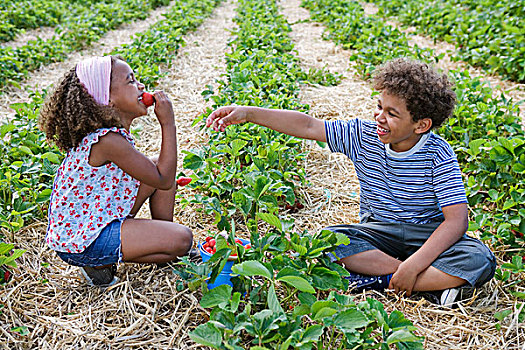 两个孩子,吃,草莓,土地