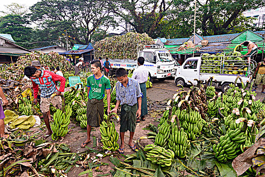 仰光,香蕉,批发,市场,区域,缅甸