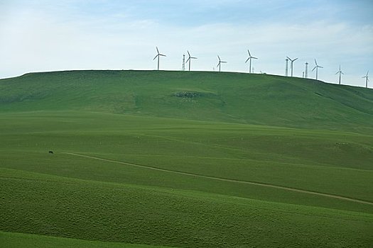 风轮机,草地,山,内蒙古,中国