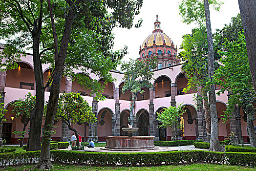 墨西哥,瓜纳华托,圣米格尔,内庭,文化中心,老,回廊,艺术