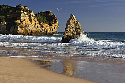 葡萄牙,阿尔加维,贻贝,柠檬,石头,海滩