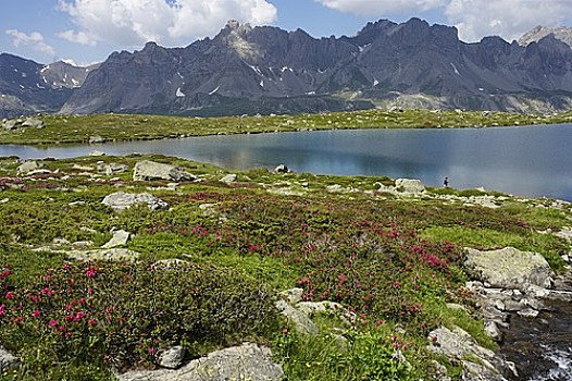 法国,靠近,湖