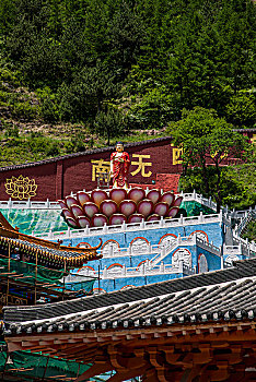 山西忻州市五台山白云寺寺院后山上雕刻了众多佛像