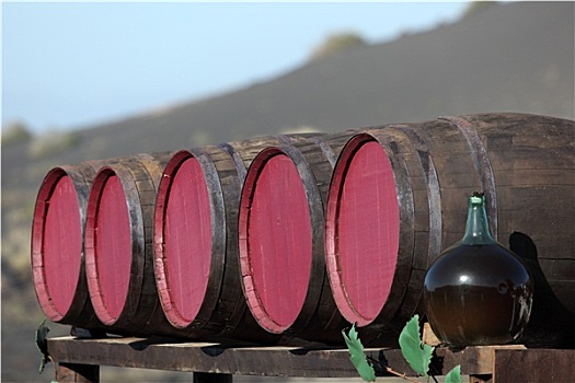 葡萄酒桶,酒栈,加纳利群岛,兰索罗特岛,西班牙