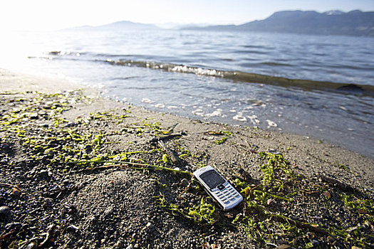 手机,海滩