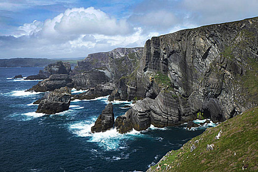 悬崖,头部,西南方,爱尔兰,科克郡,欧洲