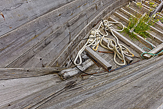 特写,废弃,划桨船,卢嫩堡,新斯科舍省,加拿大