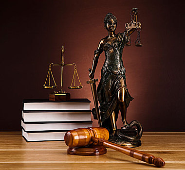 法律,执法,概念,木质,槌