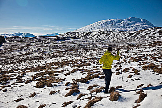 叩依谷,苏格兰,行走,荒野,积雪,山,背景