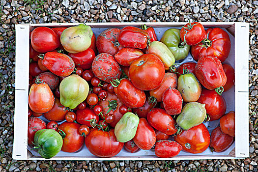 板条箱,新鲜,西红柿