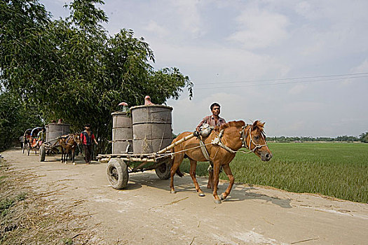 运输,卫生,卫生间,孟加拉,九月,2007年
