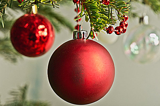 圣诞节饰物,悬挂,圣诞树