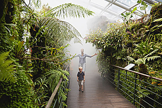 男孩,母亲,潮湿,热带,温室,植物园,新加坡