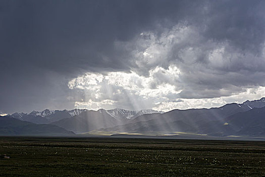 新疆赛里木湖西海草原