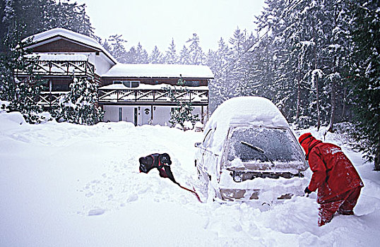 稀有,暴风雪,挖,室外,汽车,温哥华岛,不列颠哥伦比亚省,加拿大