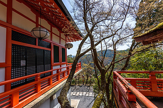 外景,庙宇,户外,京都,日本