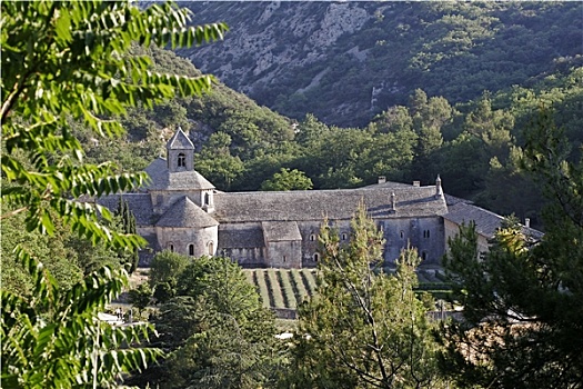 塞农克修道院,普罗旺斯