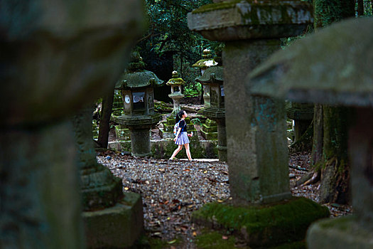 japan,nara,日本,旅游