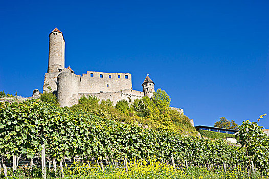 城堡,巴登符腾堡,德国,欧洲