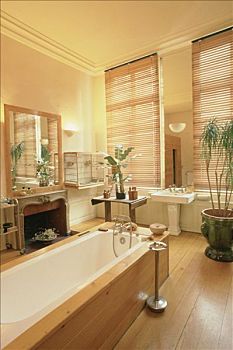 浴室,沐浴,烟灰缸,植物,壁炉,镜子,百叶窗