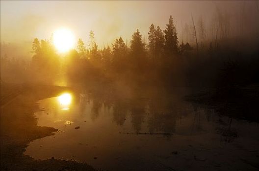 日出,晨雾,黄石国家公园,怀俄明,美国