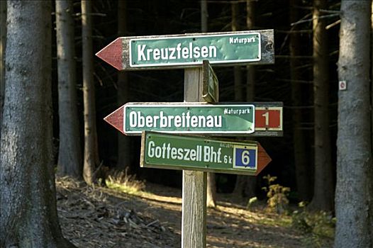 远足,签到,树林,下巴伐利亚,德国