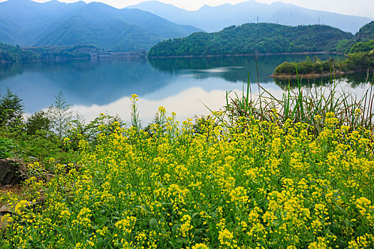 水库,山水,生态