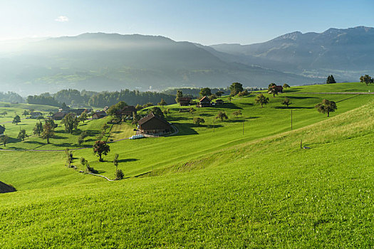 风景,乡村,靠近,奥伯瓦尔登,瑞士