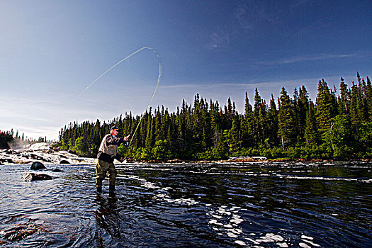 捕鱼者,飞钓,河,瀑布,住宿,南方,拉布拉多犬,纽芬兰,加拿大