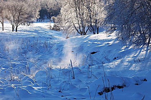 冬季雪景风光