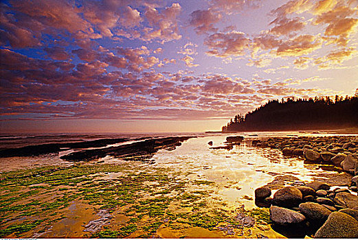密歇根,海滩,黄昏,环太平洋国家公园,不列颠哥伦比亚省,加拿大
