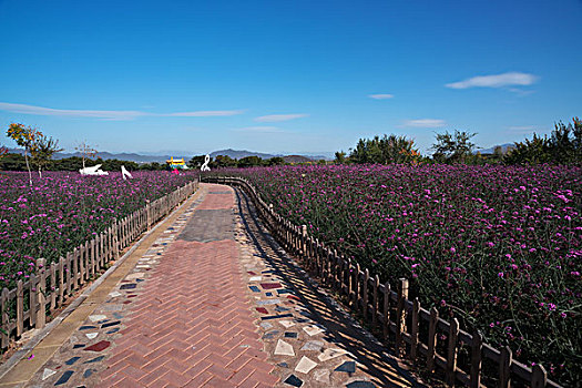 花园小路