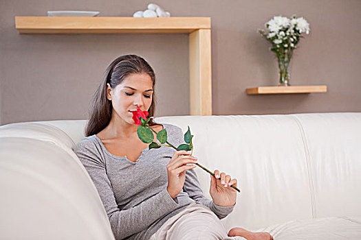 女人,沙发,嗅,红玫瑰