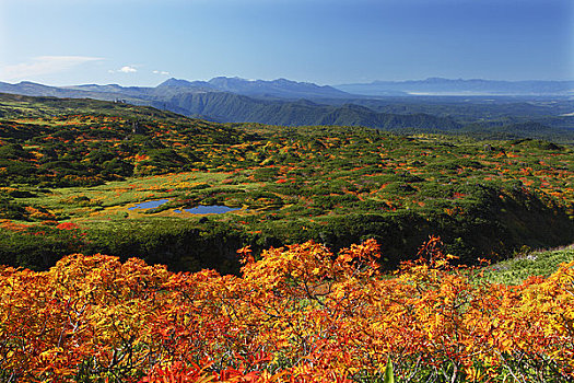 秋色,十胜岳山