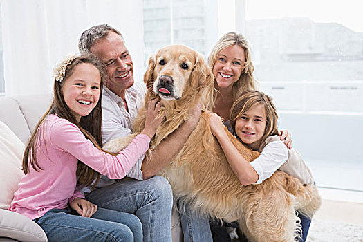 可爱,家庭,爱抚,金毛猎犬,沙发