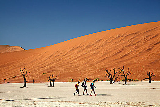 枯木,思考,旅游,沙丘,死亡谷,靠近,索苏维来地区,纳米比诺克陆夫国家公园,纳米比亚,非洲