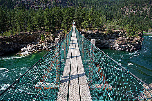 吊桥,上方,库特尼,河,靠近,蒙大拿,省,美国,北美