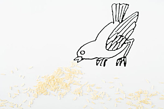 鸟,啄,米饭