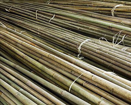 捆,竹子,棍,缅甸