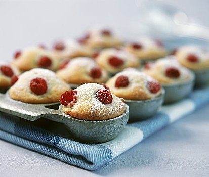 宝石,烤饼,树莓,澳大利亚