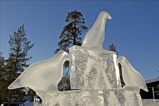芬兰,拉普兰,滑雪胜地,特写,鸟,冰,雕塑
