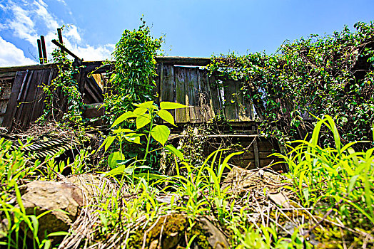 鄞州,塘溪镇,沙村,山村,老房子