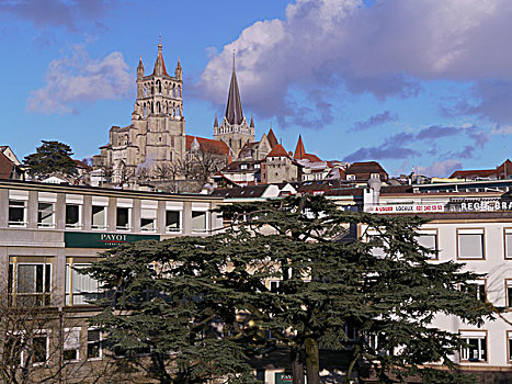 老城,大教堂,洛桑,瑞士