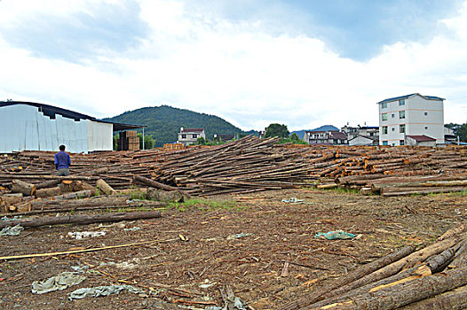 木材厂